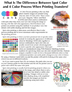 Spot VS 4 Color Process Printing Methods